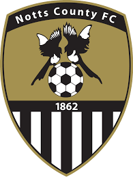 https://img.z1net.net/img/football/team/9e230c89a846b9cadf91884918fa7611.png